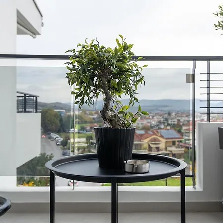 Elia Loft