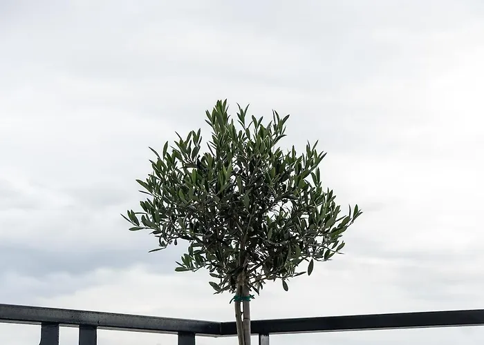 Elia Loft Trikala (Thessaly)